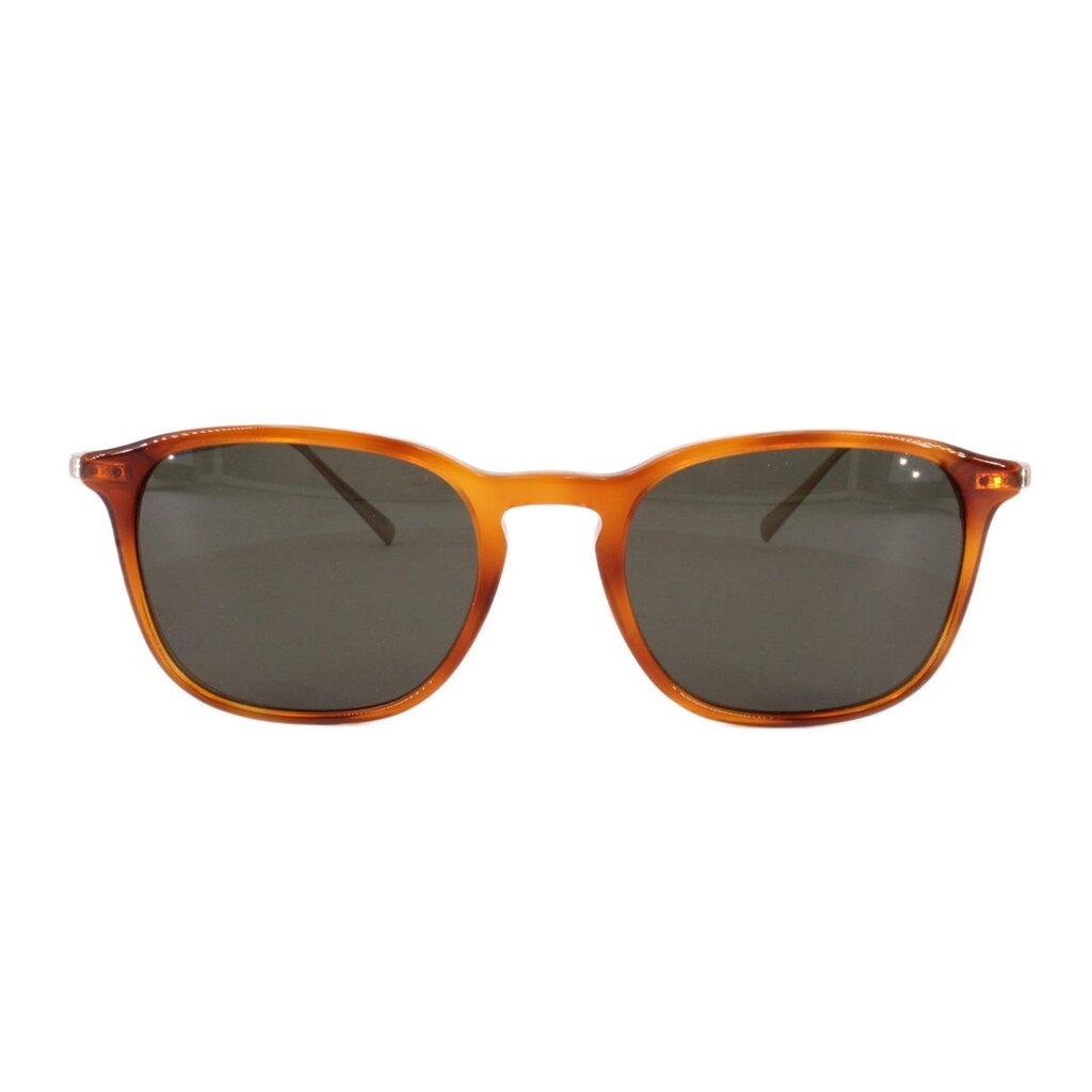Tortoise sunglasses with dark lenses, wayfarer frame
