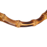 Bamboo handle close-up with glossy curved segments