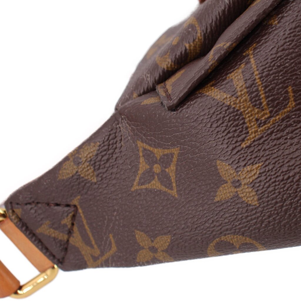 Close-up of monogram bumbag textured leather and brown patterned canvas