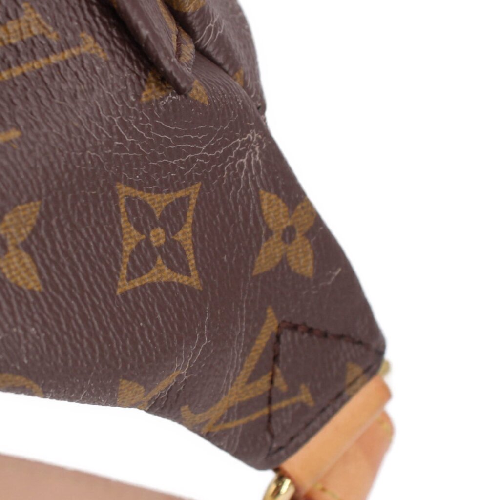 Close-up of monogram bumbag side panel and stitched edge with leather tab