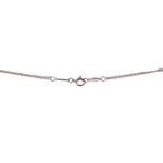 Silver chain necklace with spring-ring clasp and small circular link