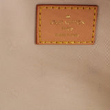 LOUIS VUITTON HIGH RISE BELT BAGS MONOGRAM