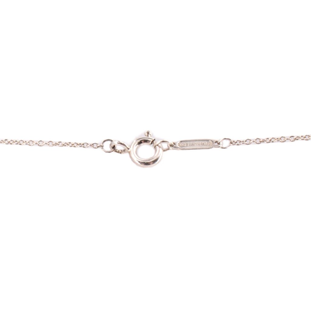 Silver necklace chain with circular clasp and small extender link
