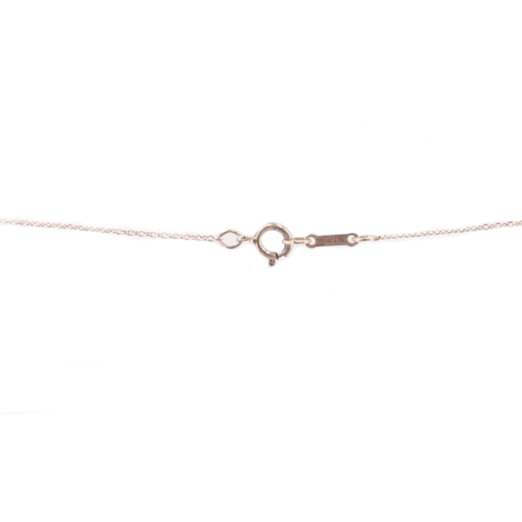 Sterling silver necklace clasp with fine link chain and small extender ring