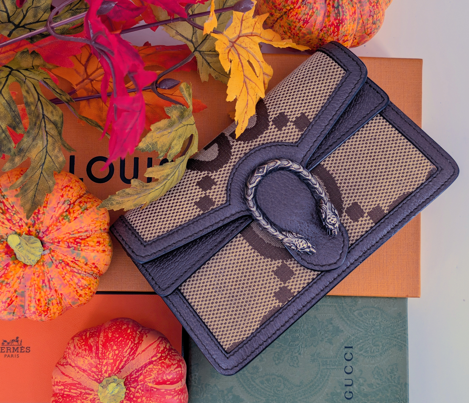 Elevate Your Autumn